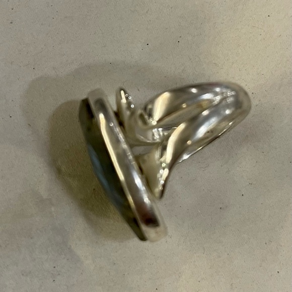 Crocodile Jasper Ring with silver adjustable setting - Picture 4 of 6